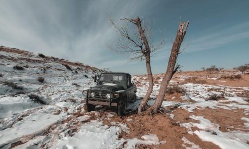 ice spice jerk off instructions