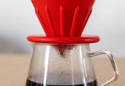 bestway sand filter instructions