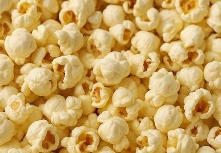 west bend stir crazy popcorn popper instructions