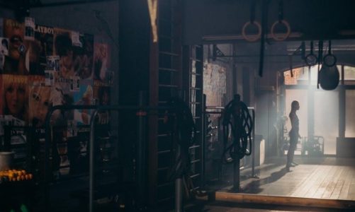 playboy magazines pdf