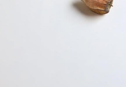 ach ich fuhl’s pdf