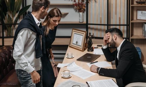 oa guide for officers and advisers