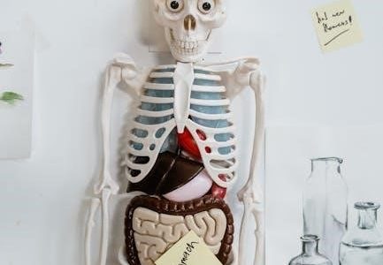 human anatomy and physiology lab manual 13th edition